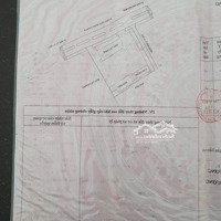 Cho Thuê Đất Mặt Tiền Đường Cmt8, Tp. Thủ Dầu Một Vị Trí Đắc Địa, Thuận Tiện Xây Dựng Nhà Hàng
