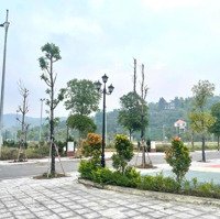 Bán Đất Nền Dự Án Tại Centre Ville Lương Sơn, 2,3 Tỷ, 100M2