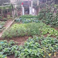 Chủ Cũ Tìm Chủ Mới 92M2, 4.6M, 5.4 Tỷ, Nở Hậu, Ô Tô, Thông, Việt Hùng, Đông Anh