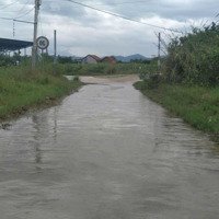 Bán Lô Đất Tại Tân Mỹ, Ninh Xuân, Ninh Hoà, Khánh Hoà Ngang 50M, Qh Đường 16M Ở Gần Giữa Đất