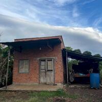 Qúa rẻ 1,1ha đất Hòa Khánh- Buôn Ma Thuột sẵn nguồn cà phê, tiêu cho thu ổn định