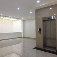 Bán Tòa Nhàmặt Tiềnnguyễn Xuân Khoát, Tân Phú, 166M2 (8X21) 5 Lầu, Hầm, Thang Máy Chỉ 31 Tỷ ( Còncó Thương Lượng)
