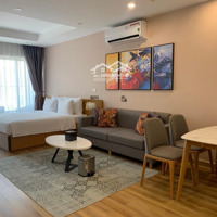 Chuyển Nhượng Căn Tms Trực Diện Biển, Diện Tích 47M2 Nội Thất Full, 28 Nguyễn Huệ, Quy Nhơn