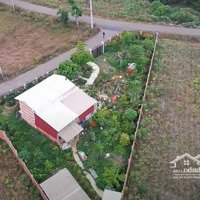 Hết Vốn Làm Ăn Bán Ra Căn Nhà Vườn Hơn 1000M2 Sẵn 100M2 Thổ Cư 2 Mặt Tền Tại Đá Bạc, Châu Đức