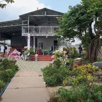 Hết Vốn Làm Ăn Bán Ra Căn Nhà Vườn Hơn 1000M2 Sẵn 100M2 Thổ Cư 2 Mặt Tền Tại Đá Bạc, Châu Đức