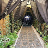 Cho Thuê Mb Mặt Tiền Nguyễn Văn Hưởng 500M2 Giá 125 Triệu
