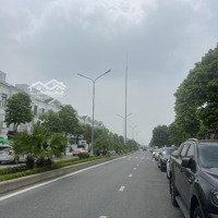 Chính Chủ Cần Bán Biệt Thự Liền Kề Hải Âu 114M2 Đường 30M Tại Vinhomes Ocean Park Gia Lâm Hà Nội