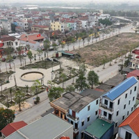 Cần Bán 94M Tàm Xá - Đông Anh Sát Vin Tàm Xá - Sát Khu Đấu Giá Oto Tránh, Kinh Doanh Sầm Uất