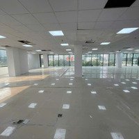 Cho Thuê Siêu Phẩm Building Mặt Tiền Đường 87 89 Thành Thái Quận 10