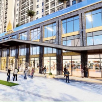 Shophouse Phố View Đẹp Tại Nguyễn Hữu Cảnh, 53 Triệu / M2, 344 M2, Vũng Tàu.