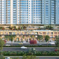 Shophouse Phố View Đẹp Tại Nguyễn Hữu Cảnh, 53 Triệu / M2, 344 M2, Vũng Tàu.