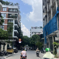 Bán Tòa Căn Hộ Diện Tích 101M2, Xây 10 Tầng, Phố Tô Ngọc Vân, Tây Hồ, Vew Hồ Tây, Giá Bán 67 Tỷ.