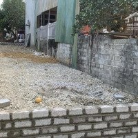 96 M Sát Khu Tái Định Cư Đông Phương Yên,Kinh Doanh Đỉnh Của Đỉnh