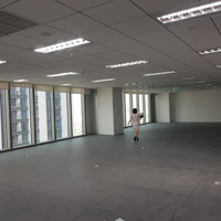 Bql Chính Chủ Cho Thuê Văn Phòng Hạng A Thái Nam Dương Đình Nghệ 100M2-200M2-500M2-1000M2 Sẵn Đồ