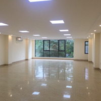 Cho Thuê Nhà Mặt Phố Nguyễn Khang,Diện Tích100M2, 8 Tầng Có Hầm,Mặt Tiền8 M, Kinh Doanh Cực Tốt. Giá 140 Triệu