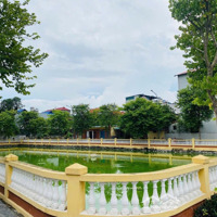 Mở Siêu Thị Đỉnh Kinh Doanh Hợp Lý Vô Cùng Du Nội -Mai Lâm - Đông Anh