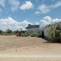 Bán Đất Tđc Là Chữ Phước Hữu, Ninh Phước, Ninh Thuận, 500 Triệu, 200M2, Giá Tốt