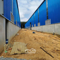 Cho Thuê 3500M2 5000M2, Nhà Xưởng Trong Kcn Bàu Bàng Bình Dương