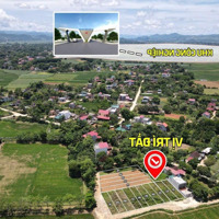 Bán Gấp Đất Tại Thạch Định, Thạch Thành, Thanh Hóa, 550 Triệu, 197 M2. Liên Hệ: 0826218668