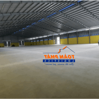 TOÀN PHÁT LOGISTICS – GIẢI PHÁP KHO BÃI HIỆU QUẢ CHO HÀNG HÓA NGÀY 8/3
