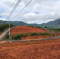 Gặp Chủ Trực Tiếp, Đất Nhà Ngộp Cần Bán Gấp Sỉ Đất Ở Huyện Bảo Lâm Giá Rẻ So Với Mặt Bằng Chung.