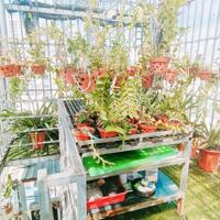 Bán nhà phường 14 Tân Bình, hẻm Nguyễn Hồng Đào, 60M2, 5 Tầng, 6,6 tỷ, gần Bàu Cát