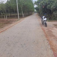 Đất Đẹp, Giá Đầu Tư Gần Kcn Bến Củi, Tây Ninh