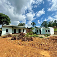 Bán Gấp Lô Đất 12000M2, Thế Đất Thoải Nhẹ, Tiềm Năng Sinh Lời Cao, Pháp Lý Chuẩn