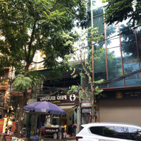 Bán Nhà Mặt Phố Phan Kế Bính - Ba Đình:diện Tíchsổ 75M2,Mặt Tiền4,5M (Cực Vuông) - Đoạn Kd Sầm Uất Nhất Phố