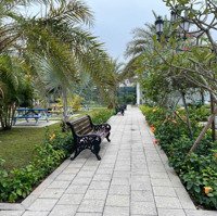 Bán 4500M2 Đất, Giá Đầu Tư Cực Thấp Chỉ Hơn 10 Triệu/M2, Sóc Sơn Hà Nội
