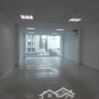 Cho Thuê Nhà Nguyên Căn Tân Bình, Gần Sân Bay Tsn,Diện Tích850M