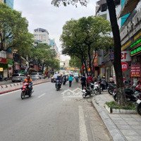 Giá Đầu Tư! Nhà Phố Lạc Long Quân, Diện Tích Khủng 305M2, Mặt Tiền Rộng 15M, Giá Chỉ 65,5 Tỷ