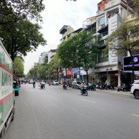 Giá Đầu Tư! Nhà Phố Lạc Long Quân, Diện Tích Khủng 305M2, Mặt Tiền Rộng 15M, Giá Chỉ 65,5 Tỷ