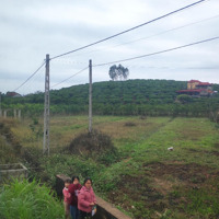 Bán Đất Thanh Hải, Lục Ngạn, Bắc Giang, Đà Lạt Thu Nhỏ Giá Thỏa Thuận, 1500 M2, View Đẹp