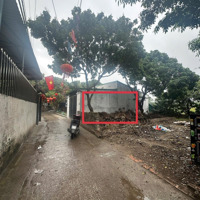 Giá Đầu Tư Bán Gấp Lô Đất Phượng Đồng, Phụng Châu Ô Tô Thông 100M Ra Trường Dh Td Tt.