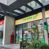 Hàng Ngoại Giao Shop Chân Đế Gs5 Vinhomes Smart City - Kí Cđt - Triết Khấu Cao Dòng Tiền 1 Triệu/M2/Th