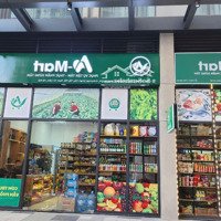 Hàng Ngoại Giao Shop Chân Đế Gs5 Vinhomes Smart City - Kí Cđt - Triết Khấu Cao Dòng Tiền 1 Triệu/M2/Th