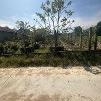 Đất Nền 360M2 Tại Ninh Xuân,Đất Nền 360M2 Tại Ninh Xuân, Ninh Hòa, Khánh Hòa, Giá Bán 960 Triệu Bán Gấp