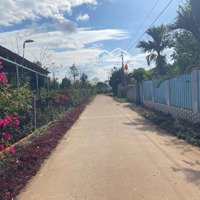Phú Xuân, Krông Năng|500M2 Ngay Khu Dân Cư Giàu Có Của Xã, Sát Chợ, Sát Quốc Lộ, 250 Triệuiệu