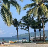 Bán Lômặt Tiềnđường Trà Lộ Bãi Tắm Tân Trà Ngũ Hành Sơn, Đà Nẵng