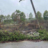 Em Chính Chủ Cần Tiền Nên Thanh Khoản Gấp Lô 100M2 Full Thổ Cư Tại Khu Tái Định Cư Đại Học Quốc Gia