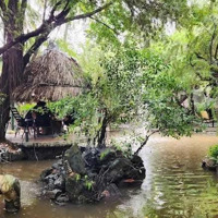 Cho Thuê Nhà Đất Mặt Tiền Đường 8, Trường Thọ. Ngay Đặng Văn Bi. Diện Tích: 1250M2