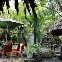 Cho Thuê Nhà Đất Mặt Tiền Đường 8, Trường Thọ. Ngay Đặng Văn Bi. Diện Tích: 1250M2