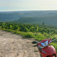 Bán Trang Trại, Khu Nghỉ Dưỡng Tại Tân Châu, Di Linh, Lâm Đồng, 5 Tỷ, 13300M2