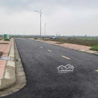 Bán Siêu Phẩm 400M2, 7,5 Tỷ Tại, Tđc Quốc Tuấn, An Lão, Hải Phòng