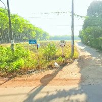 Ngộp Nặng Cần Bán Lô Đất Gần 3000M2 Ở Phú Giáo, Bình Dương, Mặt Tiền Dh507 Chỉ 650 Triệu