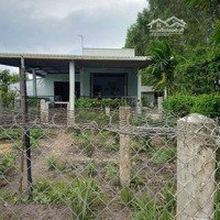Bán Gấp Đất Xưởng 42100M2 Tại Xã Kiến Bình, Tân Thạnh, Long An, 76,5 Tỷ Có Nhà Sẵn