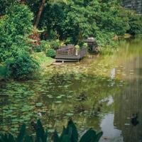 Nhận booking sớm nhất dự án Eco Retreat - chính sách ưu đãi tốt nhất F1