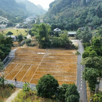 Cơ Hội Đầu Tư Siêu Hấp Dẫn Đất Bảo Hiệu, Yên Thủy, Hòa Bình Chỉ 250 Triệu/Lô 80M Full Thổ