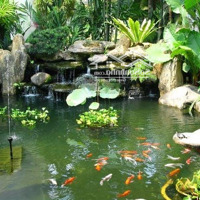 Siêu Phẩm Đầu Tư. Biệt Thự Đa Tốn, Giá Chỉ 57 Triệu/M2 Vị Trí Vàng